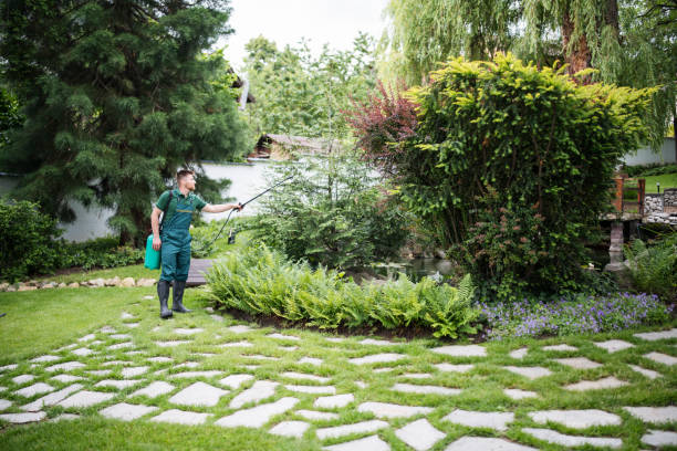 Best Lawn Edging  in Florence, SC